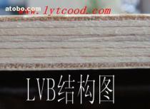 LVB木板 規格、價格與選購指南